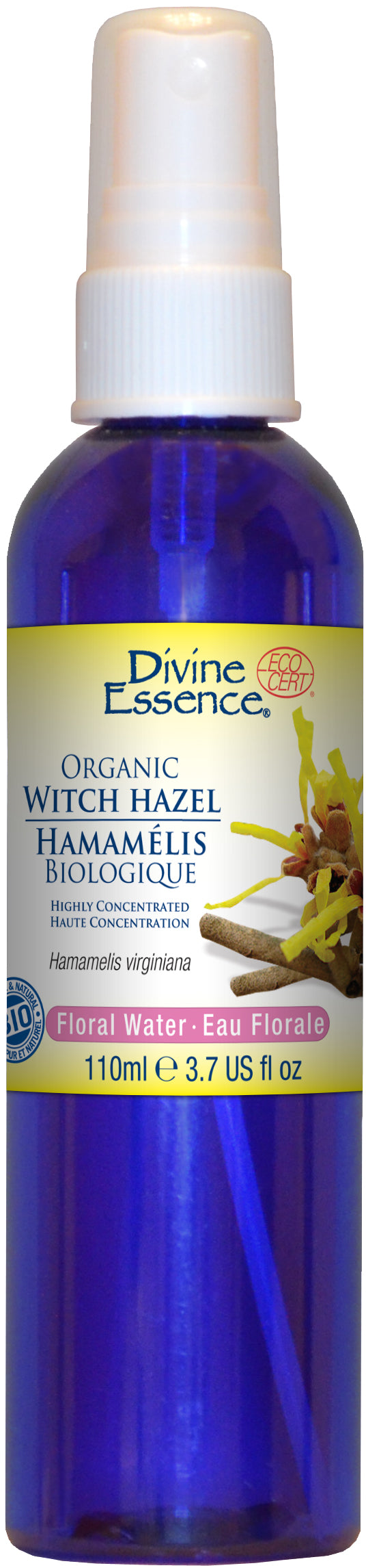 Divine Essence - WITCH HAZEL