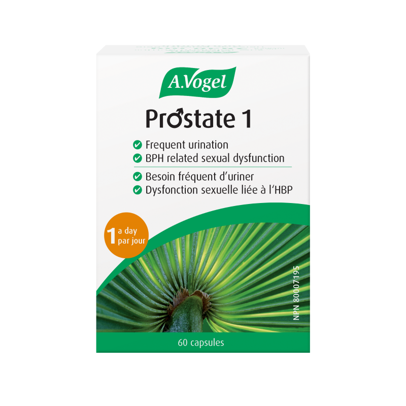 A Vogel - PROSTATE 1