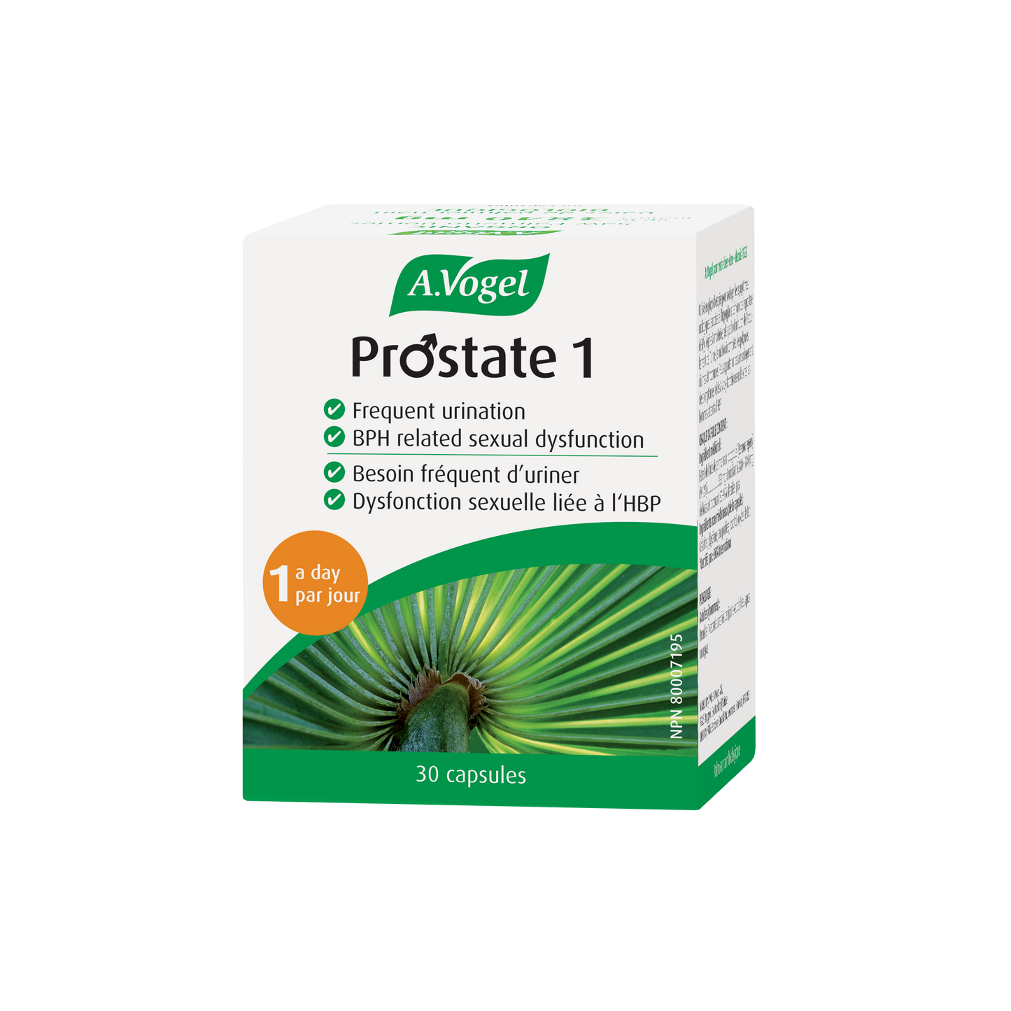 A Vogel - PROSTATE 1