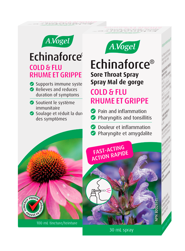 A Vogel - ECHINAFORCE + FREE SORE THROAT SPRAY