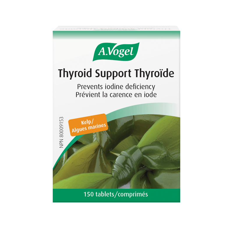 A Vogel - THYROID SUPPORT