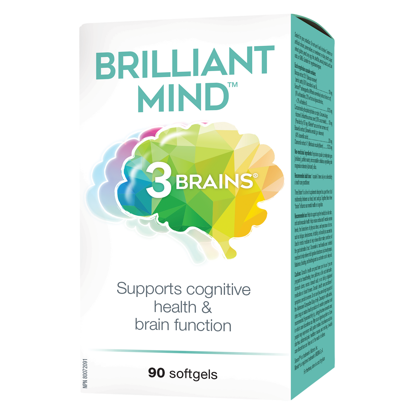 3 Brains - BRILLIANT MIND