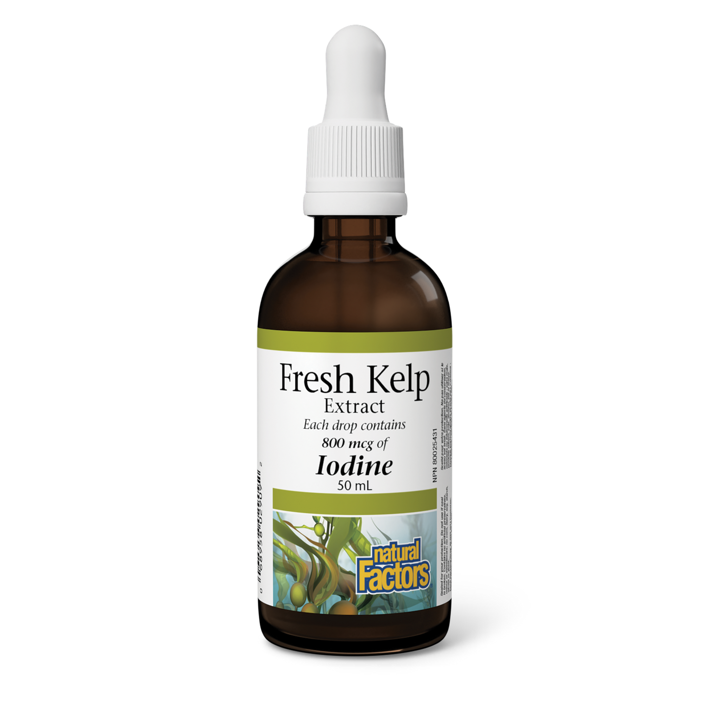 Natural Factors - FRESH KELP EXTRACT