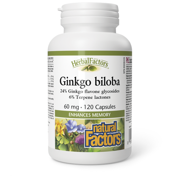 Thumbnail of Natural Factors - GINKGO BILOBA