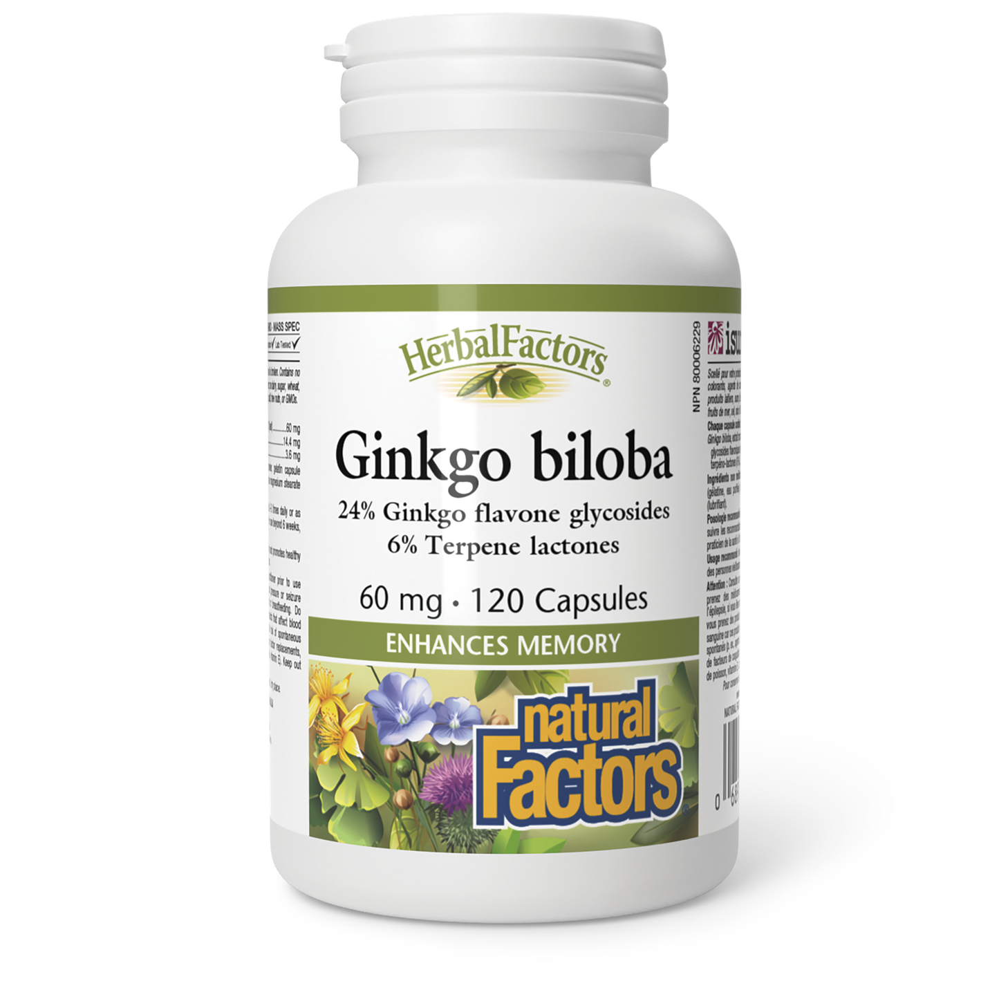 Natural Factors - GINKGO BILOBA