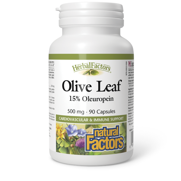 Thumbnail of Natural Factors - OLIVE LEAF