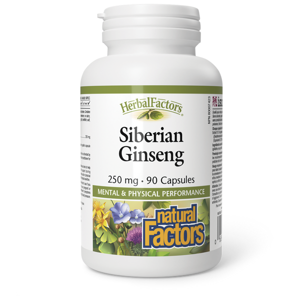 Thumbnail of Natural Factors - SIBERIAN GINSENG