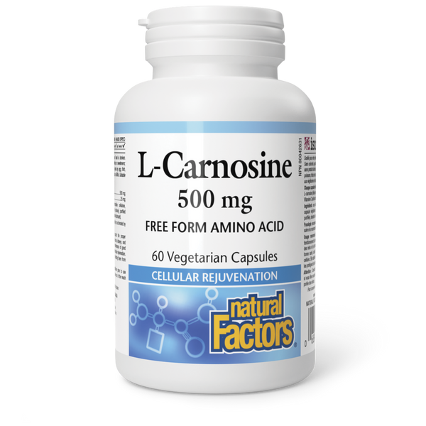 Thumbnail of Natural Factors - L-CARNOSINE - 500 mg