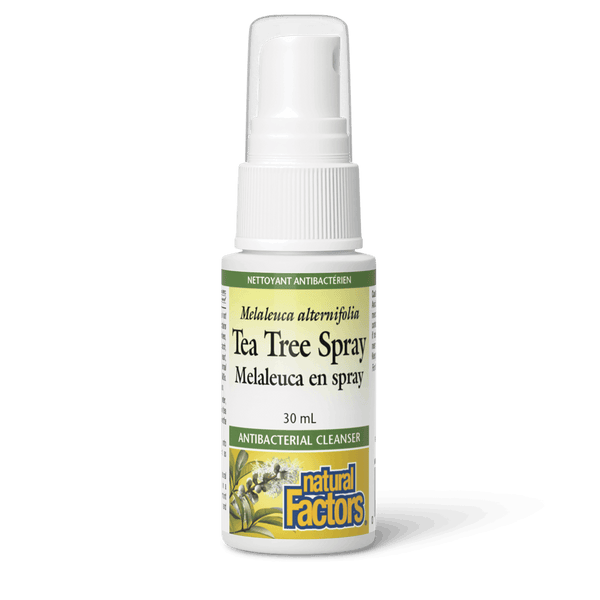 Thumbnail of Natural Factors - TEA TREE SPRAY