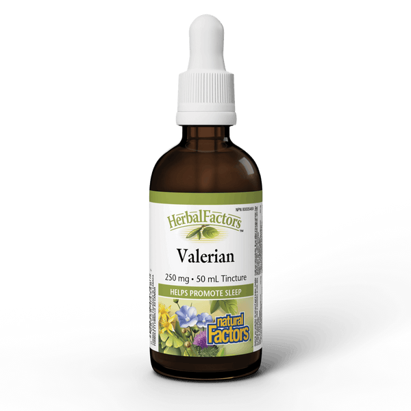 Thumbnail of Natural Factors - VALERIAN