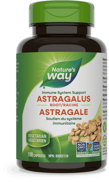 Thumbnail of Nature's Way - ASTRAGALUS ROOT