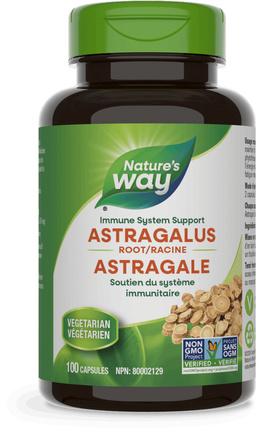 Nature's Way - ASTRAGALUS ROOT