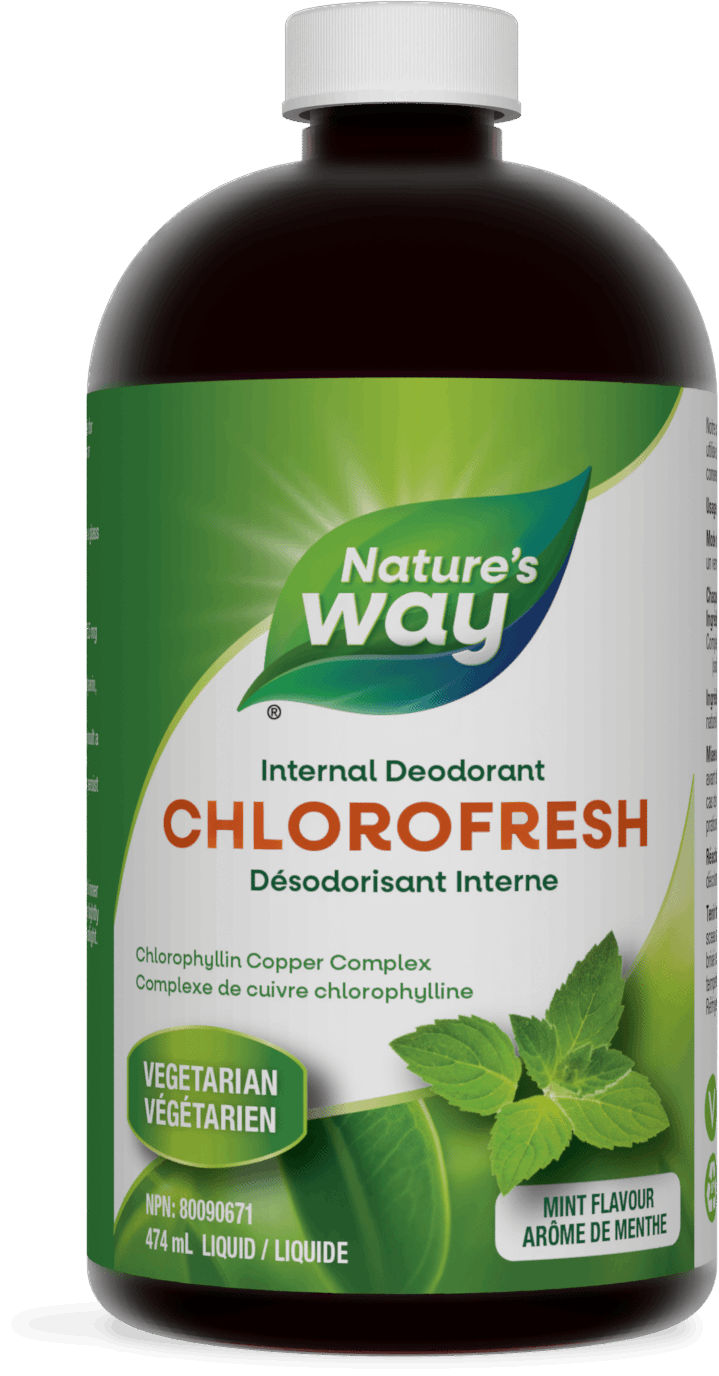 Nature's Way - CHLOROFRESH LIQUID - Mint Flavour