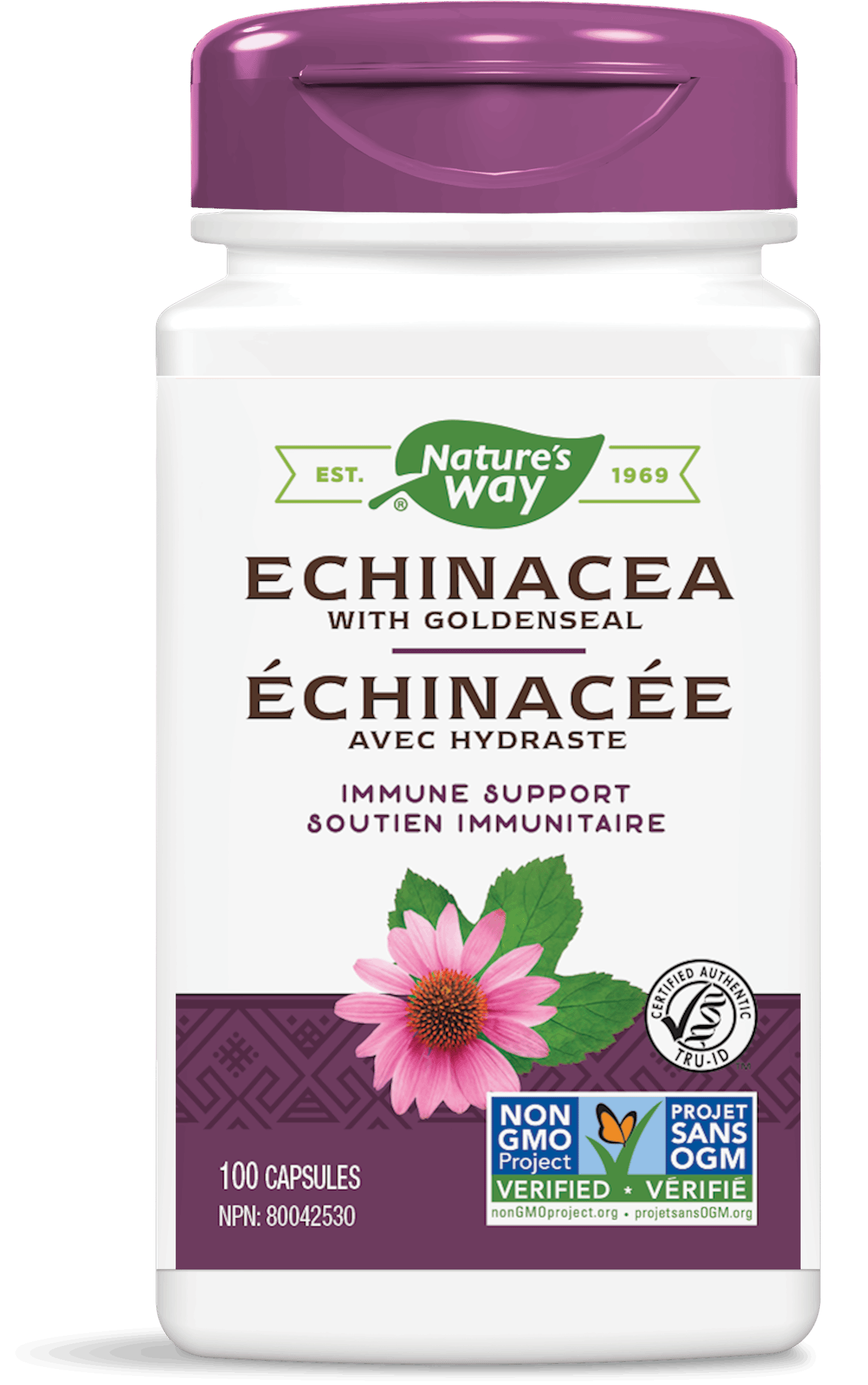 Nature's Way - ECHINACEA WITH GOLDENSEAL